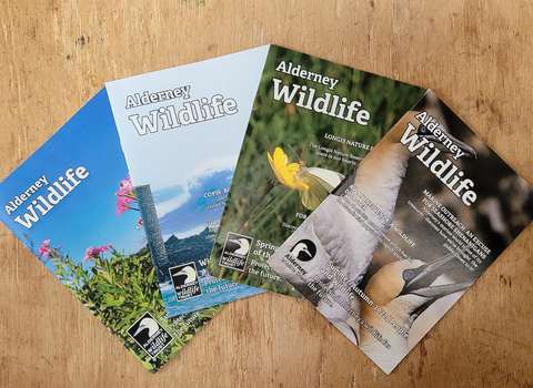 Membership magazines